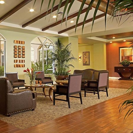 Palm Beach Shores Resort And Vacation Villas Интериор снимка